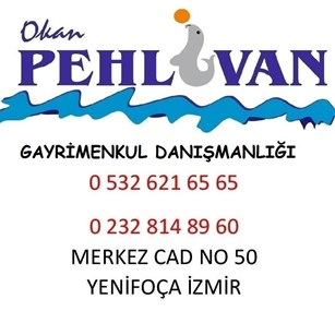 okan pehlivan