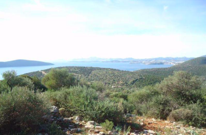 BODRUM FOUR SEASONS PROJESİ'NE YAKIN SATILIK DENİZMANZARALI ARSA