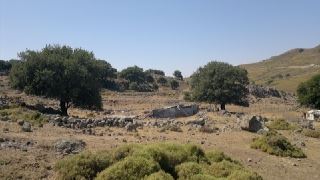 GÖKÇEADA da DENİZ MANZARALI Organik tarım ve doğal yaşam fırsatı