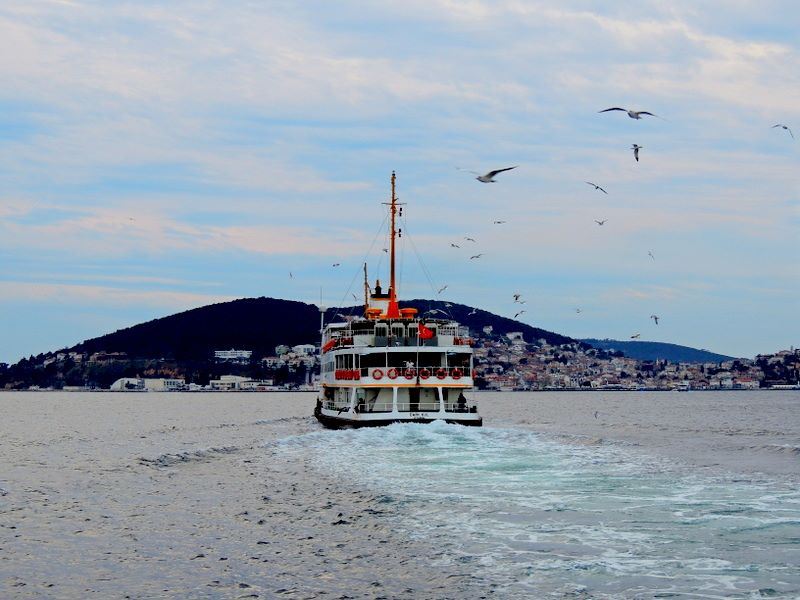 BÜYÜKADA 3 Dönüm arazi içinde