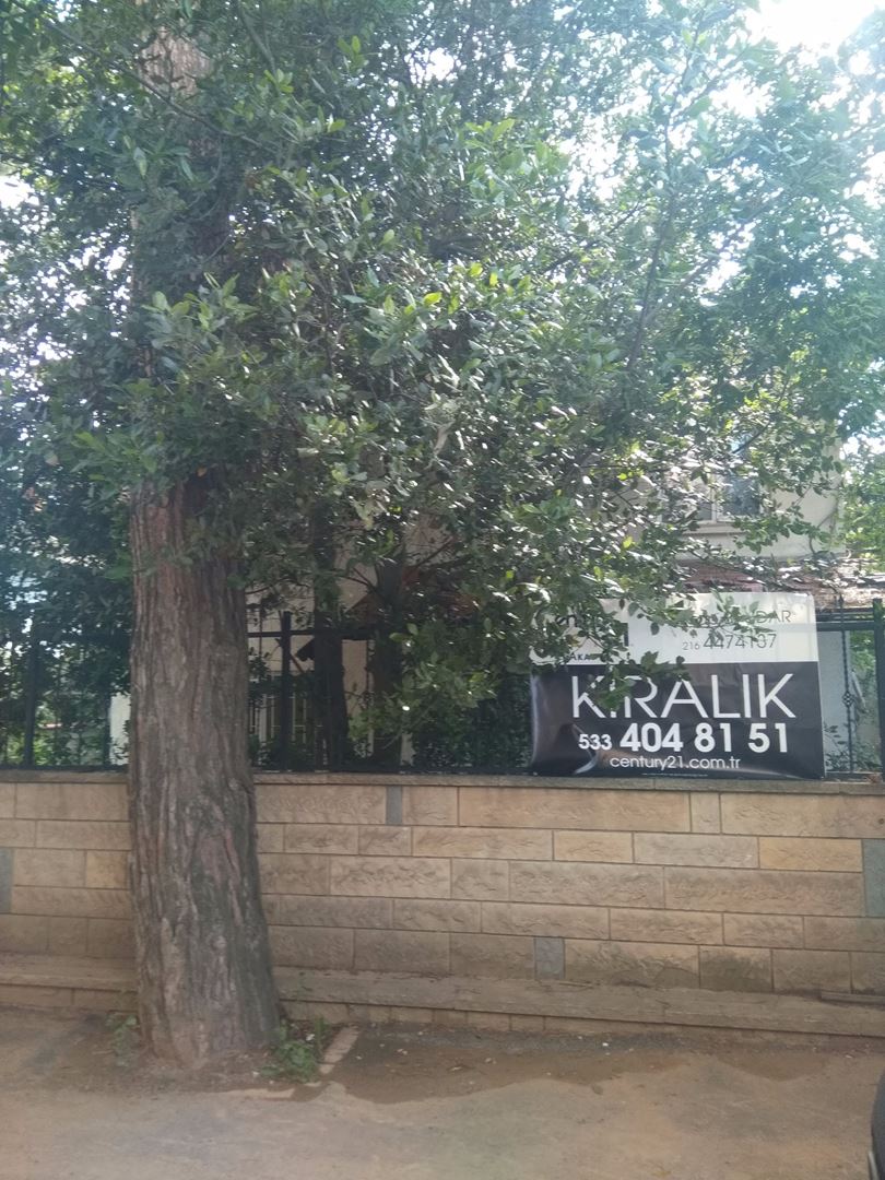 TUZLA SAHİLDE KURUMSAL FİRMALARA